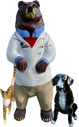 Animal Care Hospital